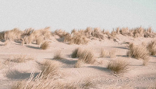Image dune décorative